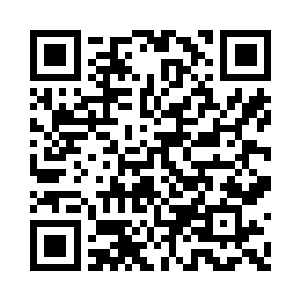 即便看到小幼崽拿出叠起来小山一样的大肉二维码生成