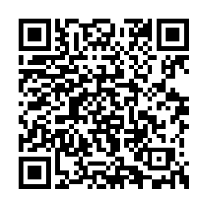 即便真人类帝国或者圣约同盟公认的超一流高手二维码生成