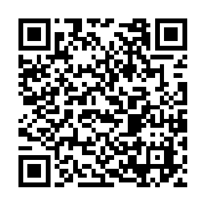 即便秦洛使劲儿的在下面踢腿也没办法碰到她的话二维码生成