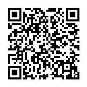 即便耶稣赶到黑猫侦探社恐怕也找不到什么有用的信息二维码生成