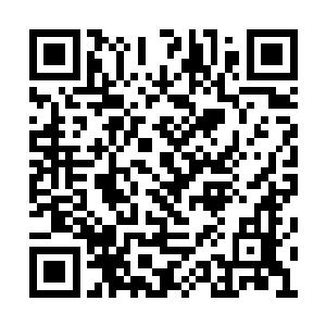 即便胜利了也会因为失去了对手而感到索然无味二维码生成