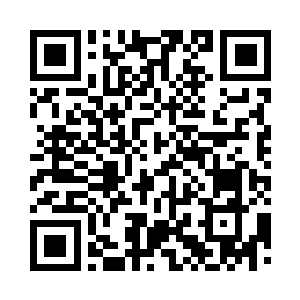 即便苍已经算到了自己的命数将尽于此二维码生成