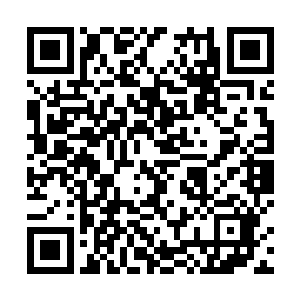 即便蓝色方这个阵容在正面作战时并没有什么突脸能力二维码生成