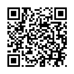 即便赤焰疾风血狼王比风雷豹的肉身力量更强二维码生成