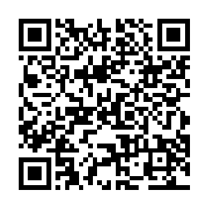 即便身上披着被水浸透的长袍也难以抵挡那山火的高温二维码生成