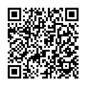 即便这一刻体内两股狂躁的力量让夜染几近崩溃二维码生成