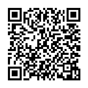 即便这一刻夜染已经重伤到不撑着灭天剑都站不稳的情况二维码生成