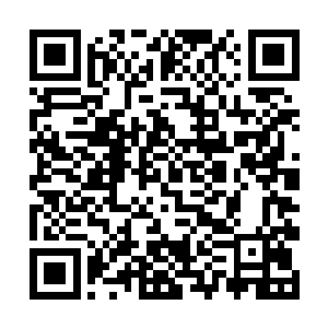 即便这些巨大的雷兽都在灭狱族的荆棘皮鞭抽打之下二维码生成