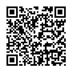 即便这古玉极有可能是打开一座神王洞府的钥匙二维码生成