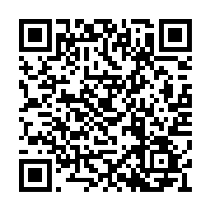 即便连续斩断几十具晶铠都不会崩裂的绝世神兵二维码生成
