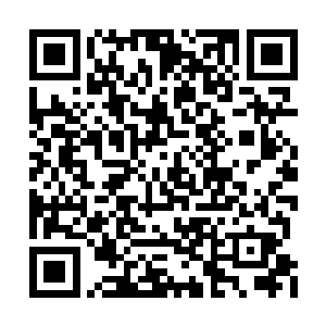 即便那个排名得到了无数抗压勇士的肯定和热捧二维码生成