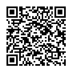 即便那些早已成名的大酒业公司也没有这样的待遇二维码生成