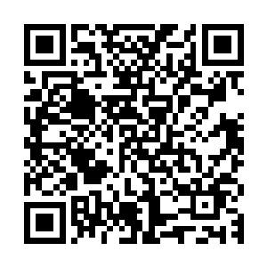即便陈诚并没能如之前计划的那般在第二条小龙刷新前合出中娅二维码生成