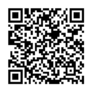 即刻开始吸收储物戒内那天地始出混沌之气为己所用二维码生成