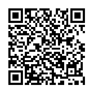 即将到来的那位不速之客显然是让龙无双非常畏惧的存在二维码生成