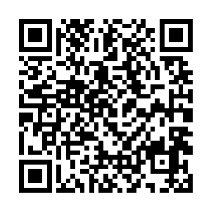 即将踏入无极境后期的百劫硬生生的让沈凡从容离去二维码生成