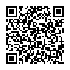 即时就将对面十几个照日天宗的弟子全部震住了二维码生成