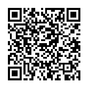 即机体的循环和呼吸机能存在时受到刺激后发生的反应二维码生成