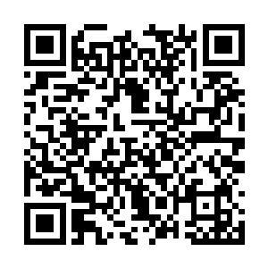 即松口家族和井上家族年的恩怨将在这次彻底了结二维码生成