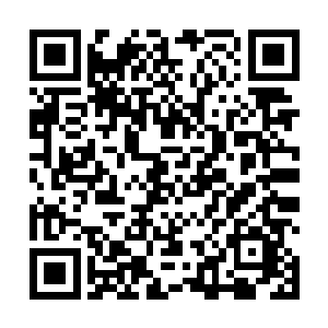 却一转眼又选择孙子轩为自己的妹妹治病的真正原因了二维码生成