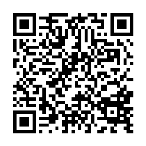 却不会让人觉得娇弱――或者是因为自幼便没有受过苦二维码生成