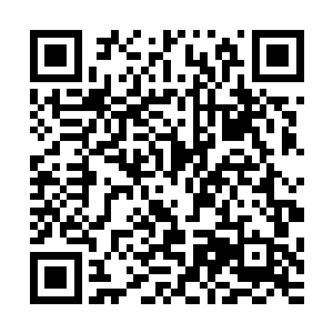 却不小心把刚才按着吴天意的时候手上的沾的泥巴抹到了脸上二维码生成