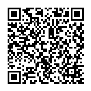 却不想到他不但躲过炸药区域还将埋伏的杀手和禁卫全部引到了焰火山二维码生成