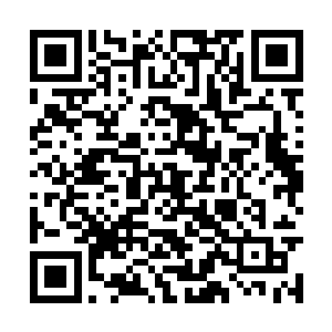 却不想竟然叫自己将他们四个甚有主见之人招到了二维码生成