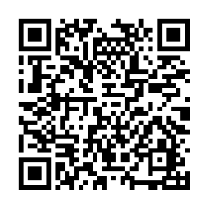 却不想萧寒仙居然很快从剑碑下的后山大门中传出二维码生成