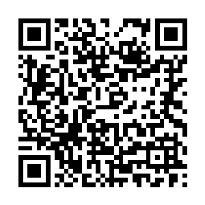 却不想走廊的灵灵走路的速度突然一下变得飞快起来二维码生成