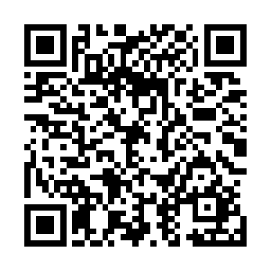 却不慌不忙的帮巴克把背上的衣服整理好才抓了毯子跳起来二维码生成