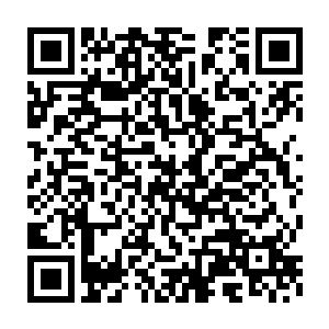 却不是那八个白森森骷髅念珠里所住的魂魄元神能吞噬消化得了的二维码生成