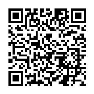 却不曾想他推翻了之前的合约邀请田蜜却被她否决了二维码生成