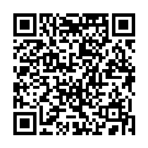 却不知道书上的每一个文字都深深的烙印在苏落的脑海里二维码生成