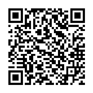 却不知道在小餐厅的门后面有一个人在仔细的倾听着两人的谈话二维码生成