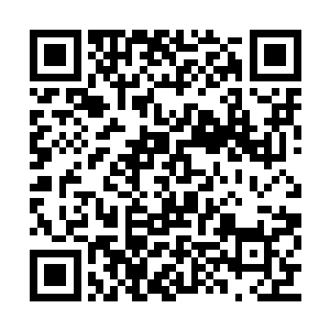 却不知道许紫烟从这次锻造之中获得了多大好处二维码生成