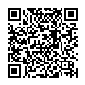 却不经意间看见那个被他徒弟毒死的道士张麻花的骷髅二维码生成