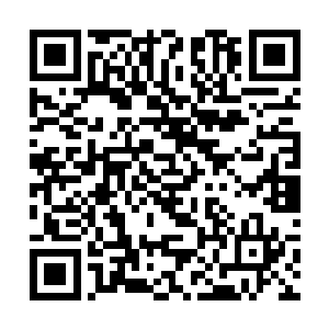 却不能同时将所有人都杀死…也无法带着她全身而退二维码生成