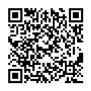 却为了一位草原解救出来的青梅竹马而投效了叶家二维码生成