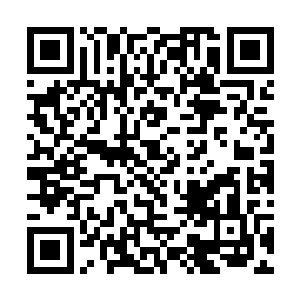 却也不可能从秦方的手上拿到了……对于这种老妖婆二维码生成