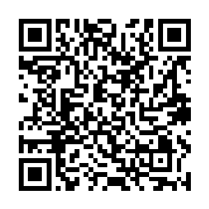 却也不小心把许承钰放在吧台上的手机弄掉在了地上二维码生成