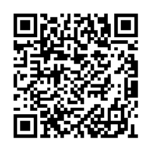 却也不得不退让一步的开始与对方商谈免税事宜二维码生成