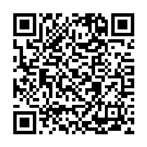 却也不愿意让外域成为中域或者內域某个强者的附属二维码生成