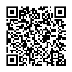 却也不曾见过能够将战斗意志贯穿战事始终至此的对手二维码生成