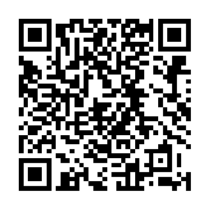 却也不清楚烈王府到底为什么会爆发出那么巨大的震动二维码生成