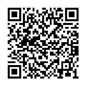 却也不至于达到触发放映协议中某些条款的程度二维码生成