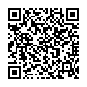 却也从飞机的形象上判定这是他们二战时候使用过的战斗机二维码生成