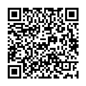 却也会刻意避开他眼里露出的毫不掩藏的爱恋之意二维码生成
