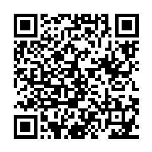 却也再一次看清楚了她与真正的这些京中贵族之间的差距二维码生成