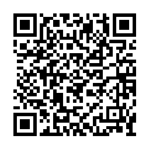 却也因此忽略了蔡君扬的嘱托……这叫欲盖弥彰二维码生成